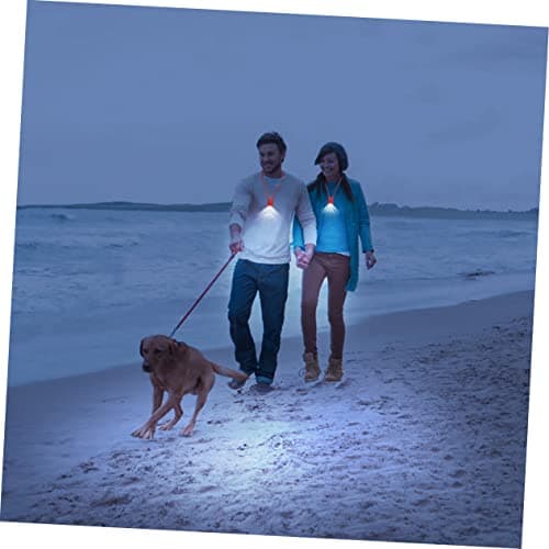 Handheld Neck Lamp for Bed Reading Camping Night Light